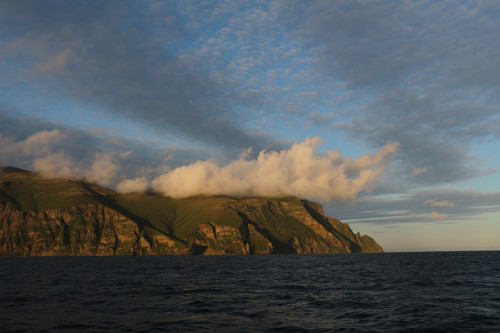 Les îles du Commandeur est l’un des plus grands parcs nationaux de Russie, où travaillent des scientifiques de tout le pays.