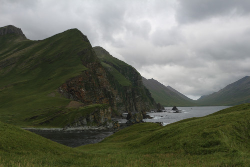 Les îles du Commandeur est l’un des plus grands parcs nationaux de Russie, où travaillent des scientifiques de tout le pays.
