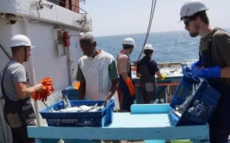 La Russie et le Maroc sur le point de reconduire leur coopération en matière de pêche