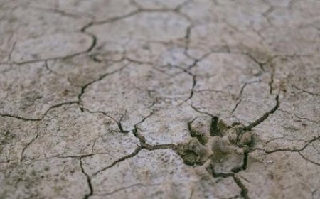 En Île-de-France, les sécheresses pourraient coûter jusqu’à 2,5 milliards d’euros