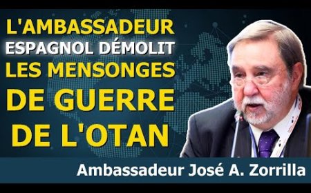 Un ex-ambassadeur DÉVOILE la VÉRITÉ sur la Russie et l'Ukraine. L'Europe savait depuis toujours !