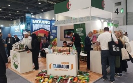 L'Algérie signe des accords commerciaux avec le Royaume-Uni pour une valeur d'un milliard de dollars