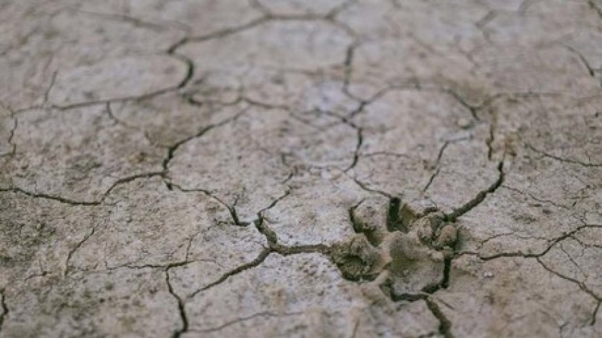 En Île-de-France, les sécheresses pourraient coûter jusqu’à 2,5 milliards d’euros