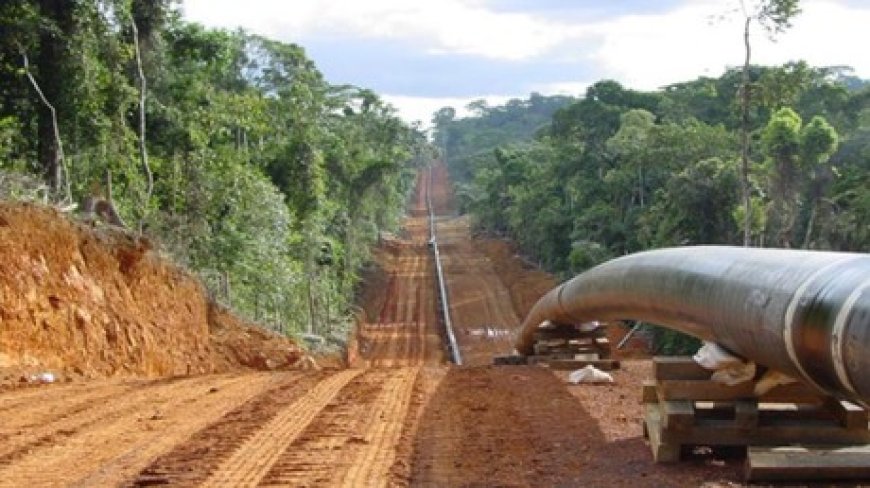 East African Crude Oil Pipeline : TotalEnergies finalise le financement de l'oléoduc Ouganda-Tanzanie