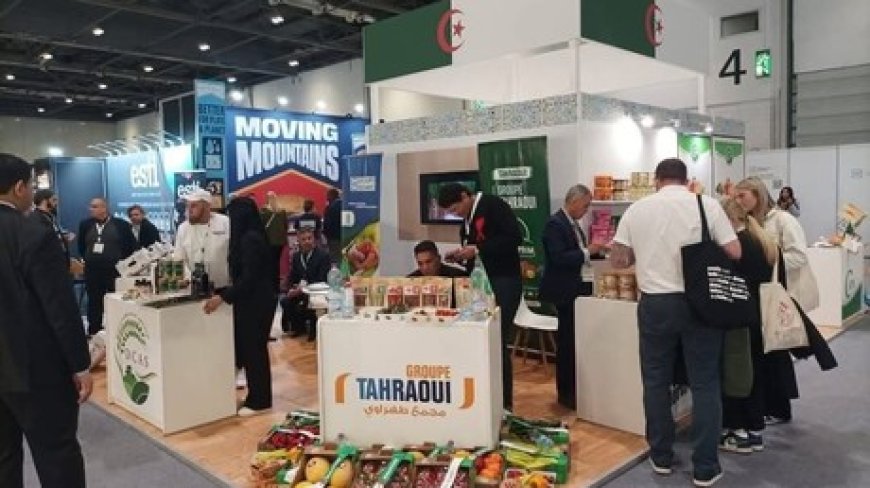 L'Algérie signe des accords commerciaux avec le Royaume-Uni pour une valeur d'un milliard de dollars