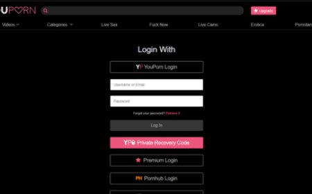 Interdiction des sites pornographiques aux mineurs : une mesure en trompe-l'œil ?