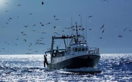 La Russie et le Maroc en passe de signer un nouvel accord de pêche