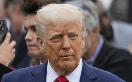 Donald Trump prépare un plan de paix impliquant des concessions territoriales de la part de l’Ukraine