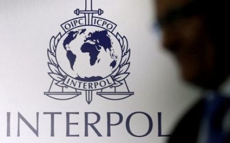 Interpol démantèle un réseau international de trafic de véhicules en Afrique