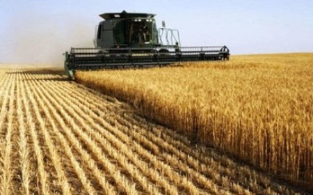 Vers une récolte record : la Tunisie renforce ses capacités de stockage