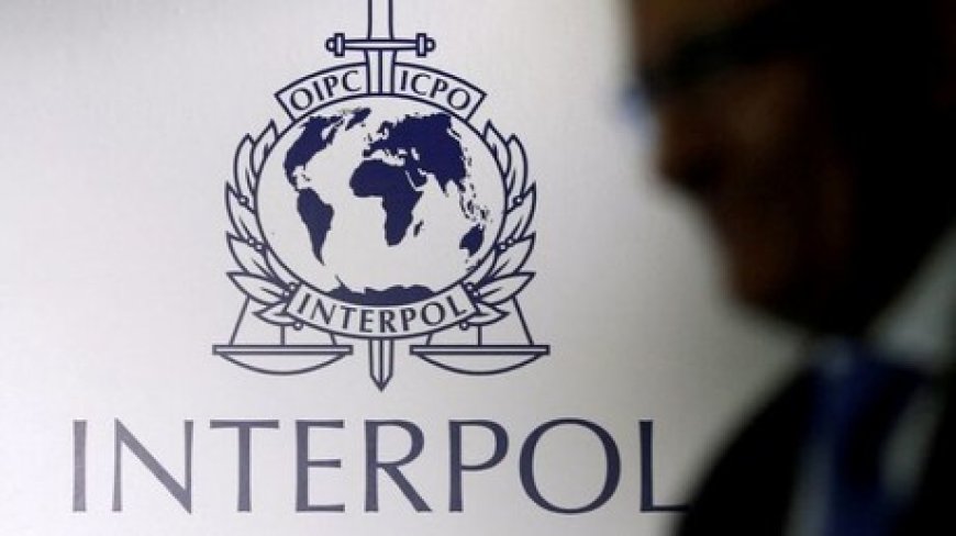 Interpol démantèle un réseau international de trafic de véhicules en Afrique