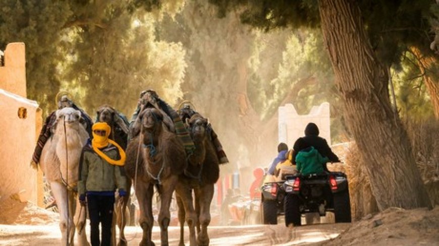 Tunisie : jusqu’à 11 millions de touristes attendus en 2025